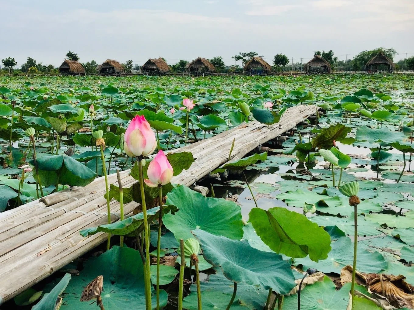 Đường đi từ In Urban Cát Lái đến Đầm sen Tam Đa